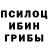 Галлюциногенные грибы мицелий Nooralam Nooralam