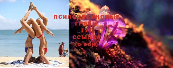 эйфоретик Баксан