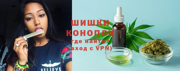 эйфоретик Баксан