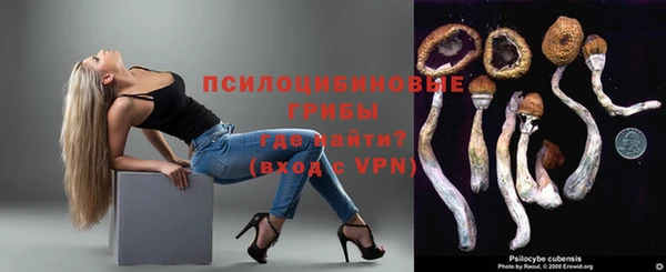 эйфоретик Баксан