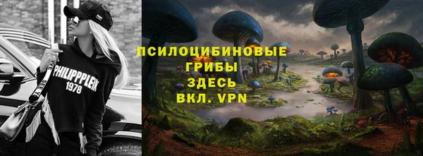 эйфоретик Баксан