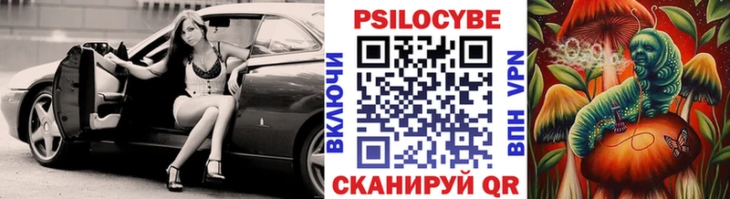 наркота  Весьегонск  Псилоцибиновые грибы Magic Shrooms 